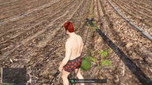 БЫСТРОЕ ПРОХОЖДЕНИЕ КВЕСТА НОВИЧКА на MAJESTIC RP GTA 5