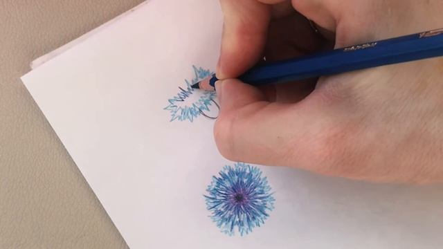 Васильки / Рисуем сразу цветными карандашами / Рисунок к 8 марта