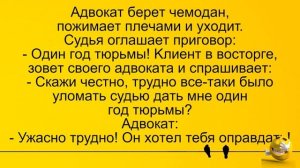 Адвокат и крутой клиент в тюрьме... Лучшие длинные анекдоты и жизненные истории