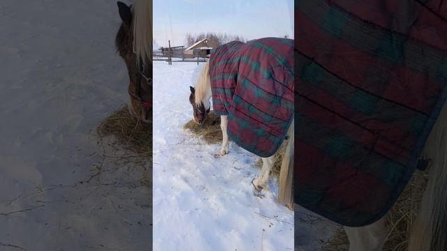 Музыкальная пауза. Так мал без твоей любви