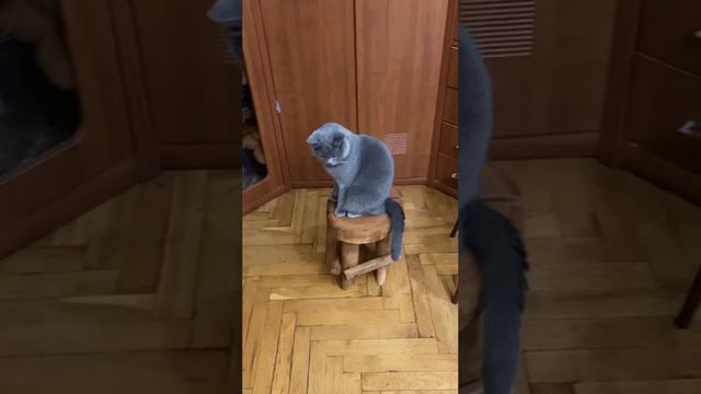 Табурет