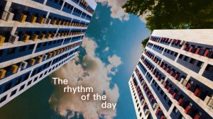 The rhythm of the day