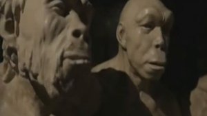 Тайны антропологии. Происхождение человека. Как трансформировались древние приматы.