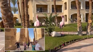 Египет 2024🇪🇬 ОБАЛДЕННО❗️ ПРЕМИУМ отель Jaz Makadi Star & Spa 5* БЕЗВЕТРЕННАЯ бухта Макади Бей