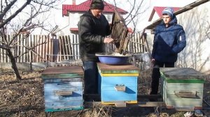 уборка пчелиного подмора, чистка и замена днища улья