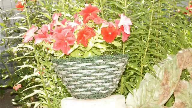 Портфолио работ из ПЭТ ленты смотреть онлайн