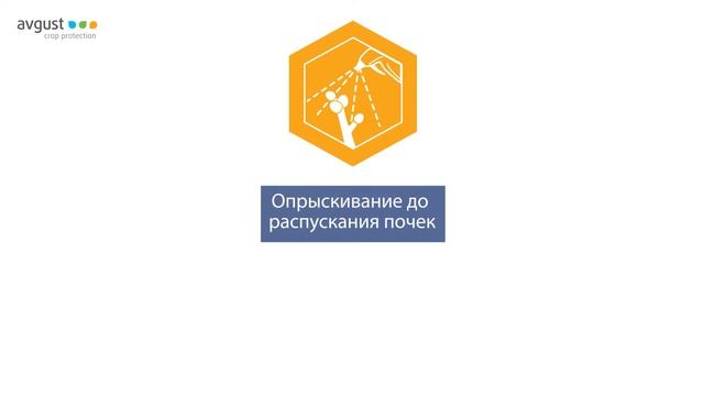 Профилактин и Бордоская жидкость - ранневесенняя защита сада от вредителей и болезней.