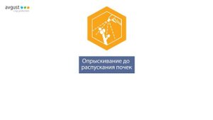 Профилактин и Бордоская жидкость - ранневесенняя защита сада от вредителей и болезней.