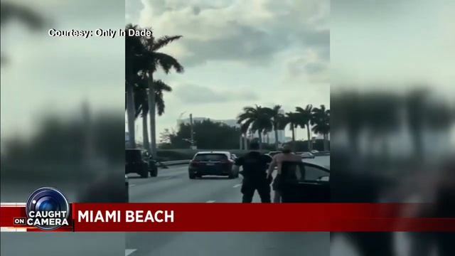 Wrong-way driver arrested near Palm Island смотреть онлайн