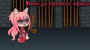 meme•~соври что всё в порядке~•