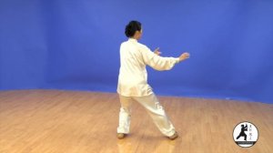 24 Form Tai Chi Demonstration Back View Master Amin Wu 吳阿敏背向示範楊式24式太極拳
