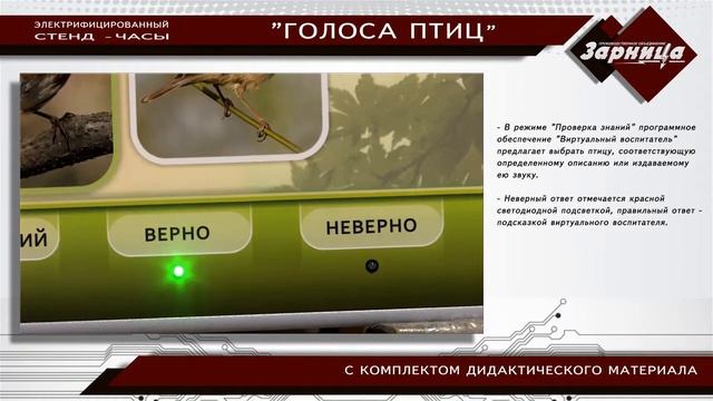Электрифицированный стенд-часы "Голоса птиц" с комплектом дидактического материала смотреть онлайн