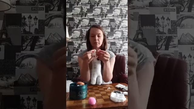 Мастер-класс по пошиву забавного кота из обычного носка смотреть онлайн