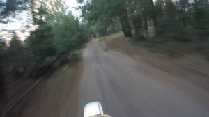 Suzuki DR 250 R