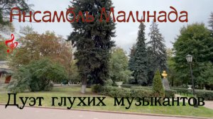 Ансамбль Малинада "Дуэт глухих музыкантов", #ansamdl_malinada, #duet_glukhih_muzikantov, #малинада