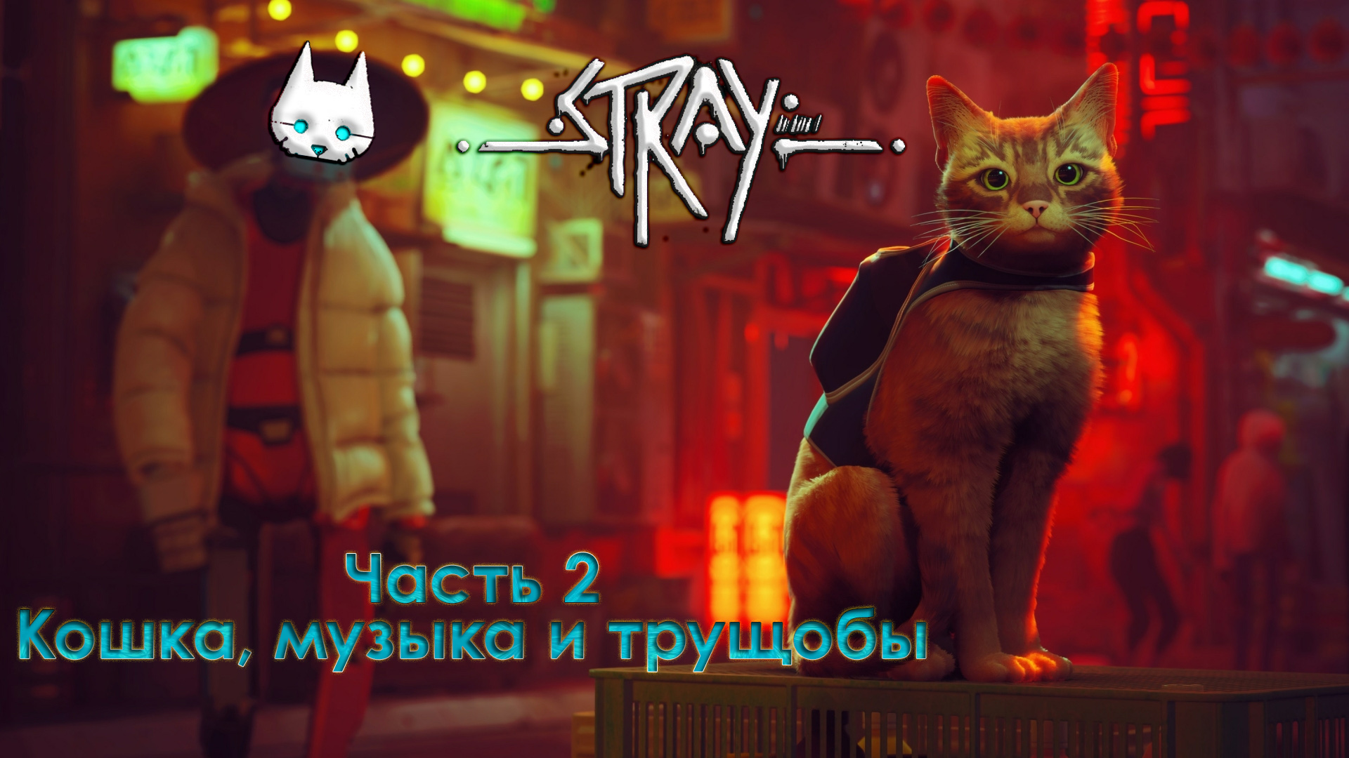 Кэтс песня. Stray трущобы. Stray Cat игра фото. Stray игра музыка. МОМО из игры Stray Cat.