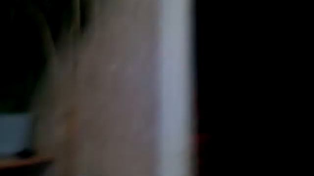 Кот в ловушке :( смотреть онлайн