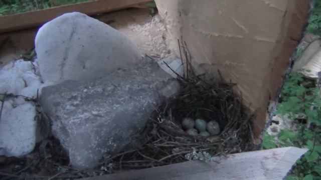 Сюрприз на солончаке смотреть онлайн