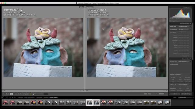 Panasonic 25mm f1.7 vs f1.4 Leica Photo Comparisons [G85] смотреть онлайн