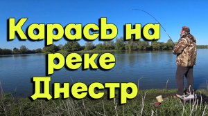 Рыбалка на карася весной на реке Днестр. Приднестровья село Ташлык. На что ловить карася на реке.