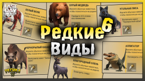 ОХОТА НА РЕДКИХ ЖИВОТНЫХ! ПРОХОДИМ ВЕСЬ ДНЕВНИК ОХОТНИКА! Last Day on Earth: Survival