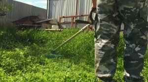 жизнь вне орхидей 32. с орхидейным котом побрили огород!