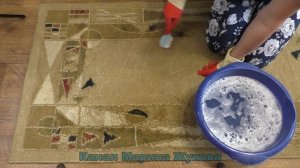 ВАНИШ для ковров СВОИМИ РУКАМИ ! КАК ПОЧИСТИТЬ КОВЕР ДО ИДЕАЛЬНОГО СОСТОЯНИЯ !