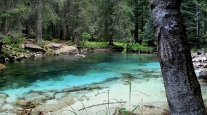Почему в речках вода пресная, если во всех океанах она солёная?
