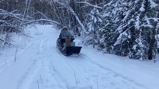 В ЛЕС НА МОТОСОБАКЕ.ДЕКАБРЬ 2023