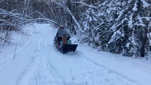 В ЛЕС НА МОТОСОБАКЕ.ДЕКАБРЬ 2023