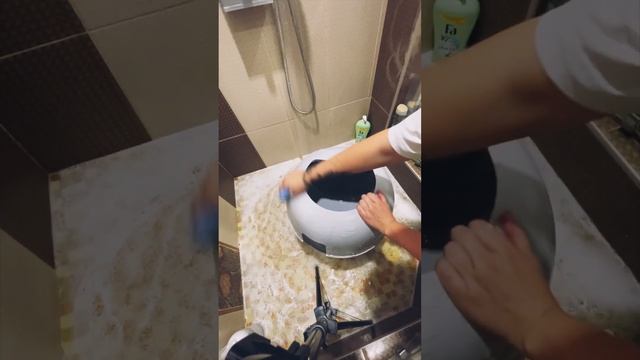 Мойка и обслуживание автоматического лотка PETREE 2 смотреть онлайн