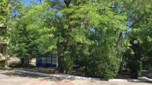 Санаторий «Радость» в Джубге. Отзыв отдыхающего.