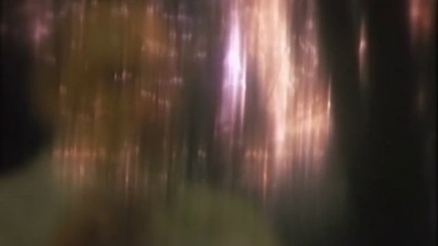 Некрасов Н.А. смотреть онлайн