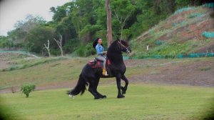 OFELIA LEYVA "TE EQUIVOCAS" VIDEO OFICIAL