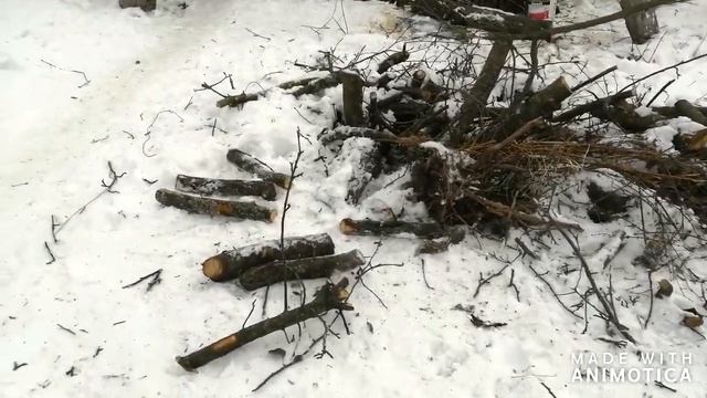 ЧАСТЬ 10/Запущенный участок! Дача!!!Неухоженный Участок!делаем обрезку Деревьев