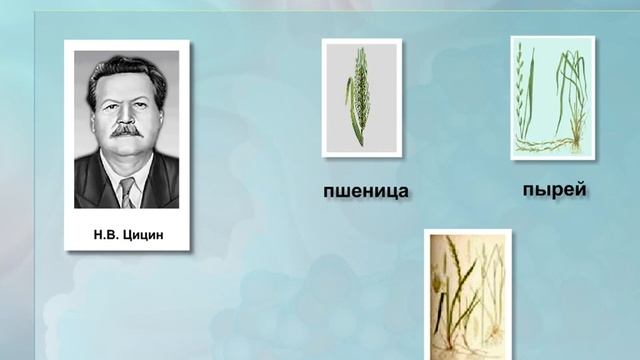 Методы селекции растений