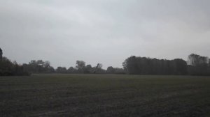 Соколиная охота.