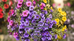 Ампельные неприхотливые многолетние цветы для сада