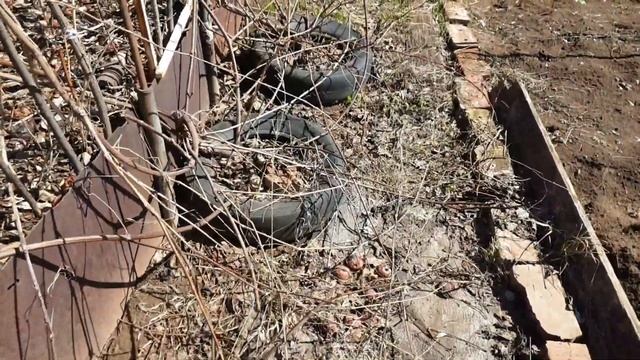 ПРОДОЛЖАЮ СТРОИТЕЛЬСТВО БАНИ. ОБЗОР ДАЧНОГО УЧАСТКА ПОСЛЕ ЗИМЫ. ТЕПЛИЦА СЛОМАЛАСЬ ОТ СНЕГА. смотреть онлайн