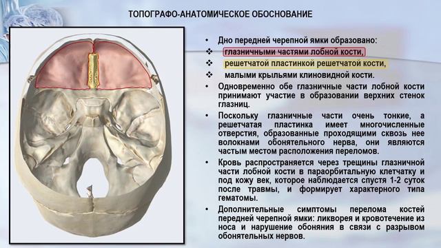 Ситуационная задача на тему: "Голова"