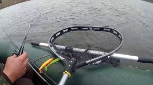 Щука трофей, поймал-отпусти. И снова Keitech Mad Wag 7