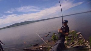 Сыдинский залив. Ловля Карпа на спининг.