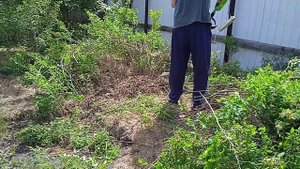 на что способен проводной триммер.