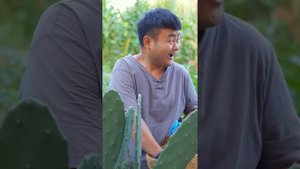 Songsong and Ermao | Mukbang | funny mukbang | Food Challenge | 푸드 챌린지 | Chinese cuisine