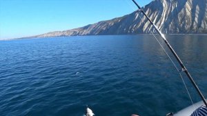 Рыбалка на Черном море в сентябре