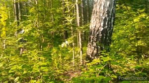 ОТДЫХ с ПАЛАТКАМИ в ЮЛОВО 2022 / РОДНИК В ЮЛОВО /ОЗЕРО В ЮЛОВО