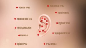 Волшебные точки на ваших ушах