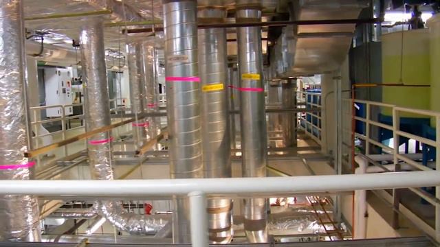 4 Controversial Cases Of Unexplained Death смотреть онлайн