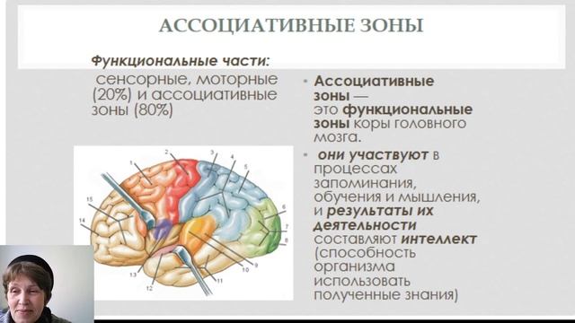 8 класс-Биология- Анализаторы.Зрительный анализатор - 08.04.20