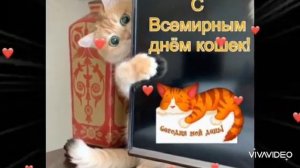 У кошек тоже есть праздник ! Всемирный день кошек. Поздравьте своих пушистиков и непушистиков